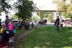 Vlkovský jarmark 15.9.2018