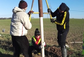 Výsadba stromů 17.11.2018