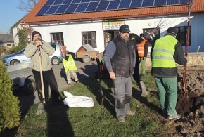 Výsadba stromů 17.11.2018