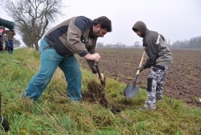 Výsadba aleje k Vachkovu mostku 17.11.2017