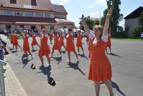 Vlkov na sletu Nový Hrádek 16.6.2018