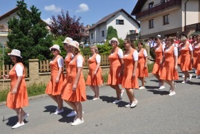 Vlkov na sletu Nový Hrádek 16.6.2018