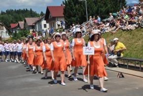 Vlkov na sletu Nový Hrádek 16.6.2018