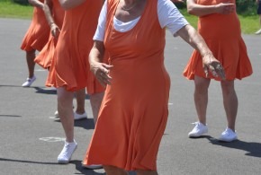 Vlkov na sletu Nový Hrádek 16.6.2018