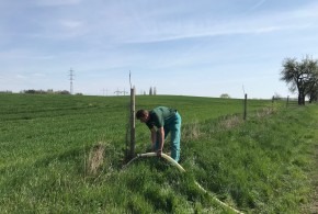 Zalévání stromů 20.4.2019