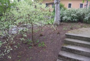 Brigáda na úklid vlkovské návsi 28.4.2019