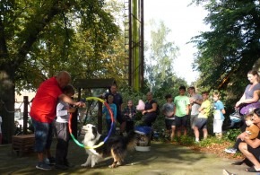 Vlkovský jarmark 14.9.2019