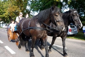 Vlkovský jarmark 14.9.2019