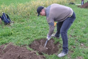 Alej hrušní již ukazuje část staronové cesty na Smiřice 