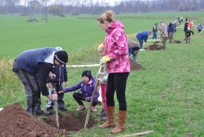 Výsadba historických odrůd stromů 16.11.2019