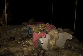 Mikuláš 7.12.2019