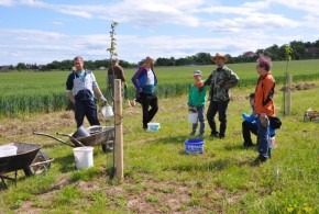 Vysbírání kamenů v aleji 30.5.2020