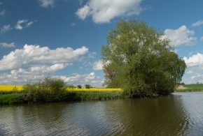 Vlkovská vesna