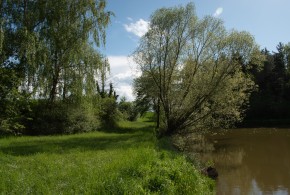 Vlkovská vesna