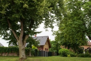Vlkovské léto