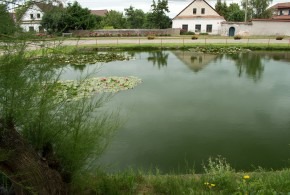 Vlkovské léto