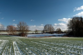 Vlkovská zima