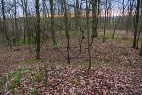 Archeologická expedice 29.3.2026