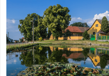 Ročenka 2019