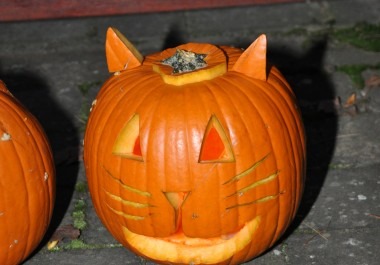 Vlkovské dlabání dýní 27.10.2019