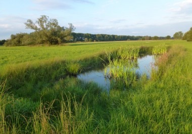 Ptačí park Josefovské louky